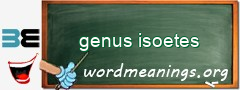 WordMeaning blackboard for genus isoetes